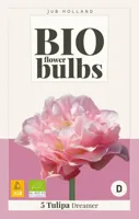 Jub tulipa dreamer bio 5st - thumbnail