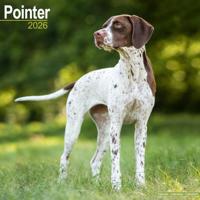 Pointer Kalender 2026 - thumbnail