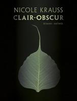 Clair-obscur - Nicole Krauss - eBook (9789041425119) - thumbnail