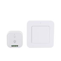 DiO Set draadloos schakelen 1x module + wandschakelaar - 6960025 - thumbnail