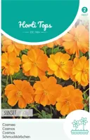 Zaden Cosmos Cosmea Sunset Oranje-Rood Hortitops - Hortitops - thumbnail