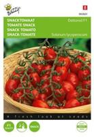Zaden snacktomaat dattored f1 8 zaden Buzzy - Buzzy - thumbnail