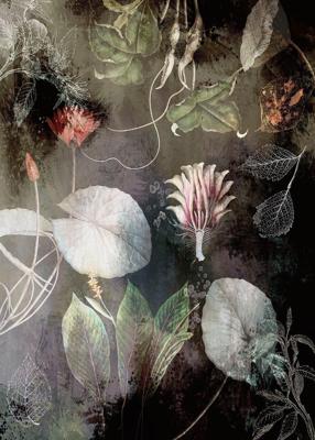 Noordwand Komar Ink Fotobehang Night Flowers - INX4-044