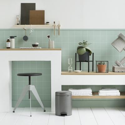 Brabantia newicon pedaalemmer 5l platinum