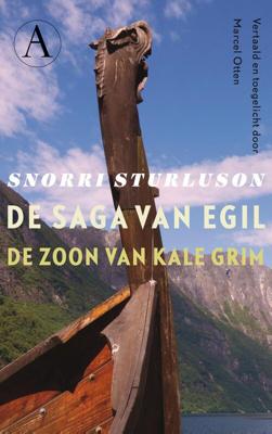 De saga van Egil, de zoon van Kale Grim - Snorri Sturluson - ebook