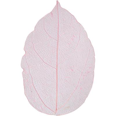 Creativ Company Skeleton leaves , l: 6-8 cm, lichtrood, 20 stuk/ 1 doos Creativ Company Skeleton leaves , l: 6-8 cm, lichtrood, 20 stuk/ 1 doos