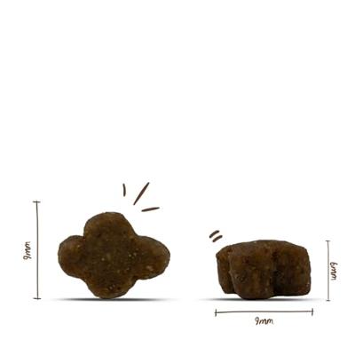 Sanabelle Kitten kattenvoer met gevogelte 10 kg