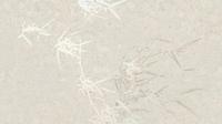 Muance Muance Fotobehang Harmony hues - MU15004 - thumbnail
