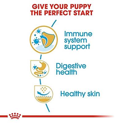 Royal Canin French Bulldog voer voor puppy 10kg