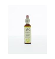 Bach Flower Remedies Bosrank 09 - thumbnail