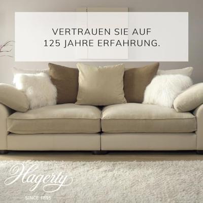 Hagerty Tapijt Droogshampoo