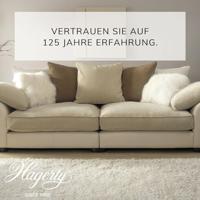 Hagerty Tapijt Droogshampoo - thumbnail