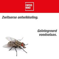 Swissinno 1 380 001KN Köder natural Extra aas Geschikt voor merk Swissinno Vliegenval Natural Control Outdoor 2 stuk(s) - thumbnail