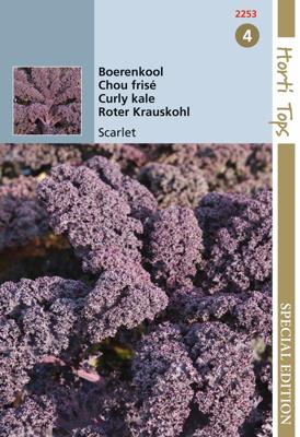 Zaden Boerenkool Scarlet paars Hortitops - Hortitops