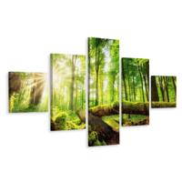 Schilderij - Zon door de bomen, 5luik, premium print - thumbnail