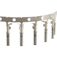 Amphenol AT62 20 0122 Ronde connector afzonderlijk contact Buscontact Serie (ronde connectoren): AT 100 stuk(s) - thumbnail