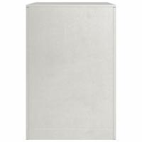 VidaXL Haardhoutrek 60x40x60 cm roestvrij staal - thumbnail