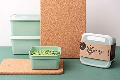 DBP Alaska Diepvriesdozen Rechthoekig 1L 3 Stuks Mintgroen