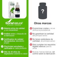 Soria Ginkgo Biloba Xxi Extr.fl. 50ml - thumbnail