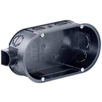 Hollewanddoos - thumbnail