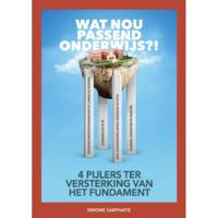 Wat nou passend onderwijs?! (Paperback) - thumbnail