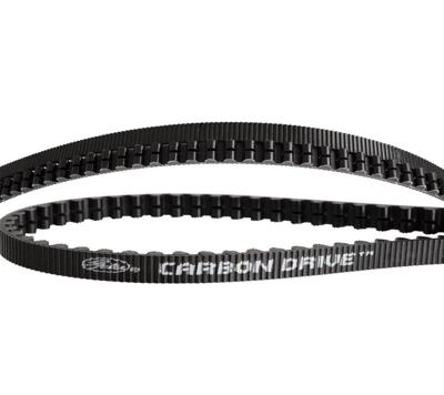 TANDRIEM GATES CDX 118 ZW