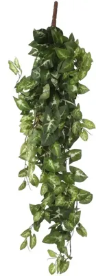 Mica Decorations kunst hangplant fittonia 80cm groen
