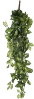 Mica Decorations kunst hangplant fittonia 80cm groen - thumbnail