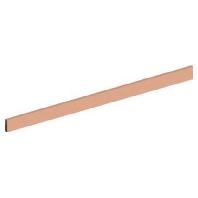Striebel & John 2CPX041871R9999 Koperrail 250 A 1 stuk(s)