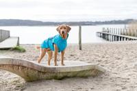 Trixie Regenjas Vimy Turquoise 55 cm - thumbnail
