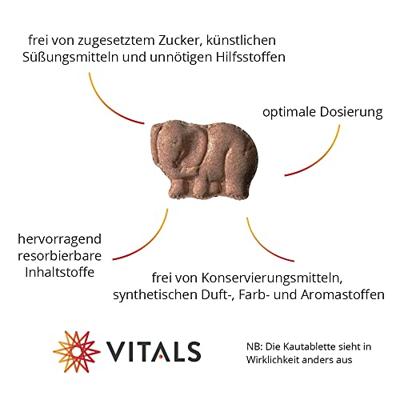 Vitals Elke Dag Junior Kauwtabletten - thumbnail