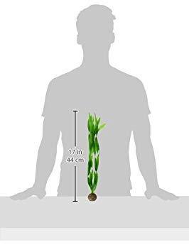 BiOrb planten groot groen aquarium decoratie