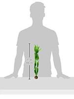 BiOrb planten groot groen aquarium decoratie - thumbnail