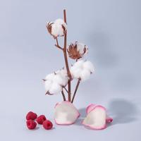 Compagnie De Provence Cotton Flower Hand Cream - thumbnail