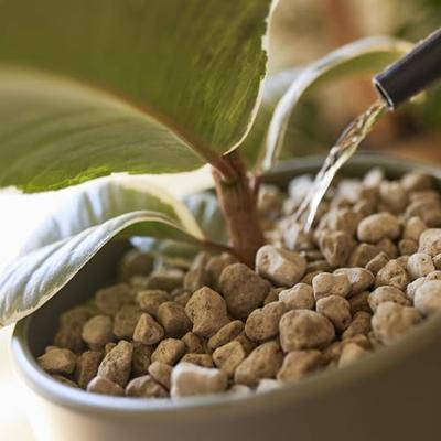 Compo bio granuplant 10 liter