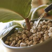 Compo bio granuplant 10 liter - thumbnail
