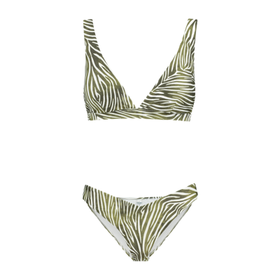 Shiwi Amy Bikini Set Zanzibar Zebra