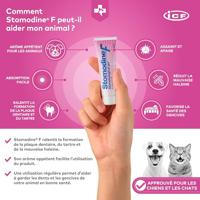 Stomodine F 30ml - thumbnail