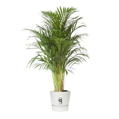 ELHO Greenville 40 ronde bloempot - Buiten - Ø 39 x H 36,8 cm - Wit