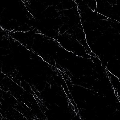 XL Vloertegel Energieker Ekxtreme Levigato Marquina Black Glans Zwart 120x120 cm Energieker XL Vloertegel Energieker Ekxtreme Levigato Marquina Black Glans Zwart 120x120 cm Energieker
