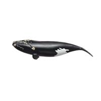 Schleich wild life noordkaper 14878 - thumbnail