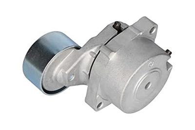 Spanrol, Poly V-riem DTP2003