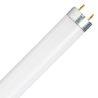 OSRAM HOMELIGHTING TL-lamp Energielabel: G (A - G) G13 30 W Warmwit 827 Buis (Ø x l) 26 mm x 908.8 mm 1 stuk(s) - thumbnail