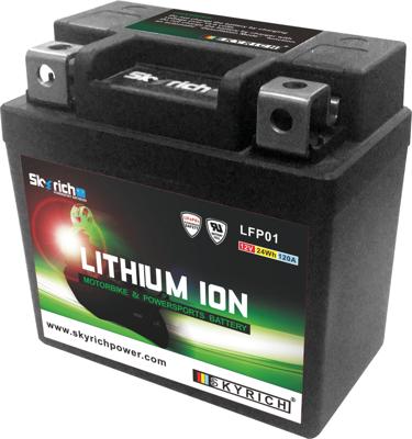 Skyrich lifepo4 batterij "lfp01". battery lfp01-i lithium