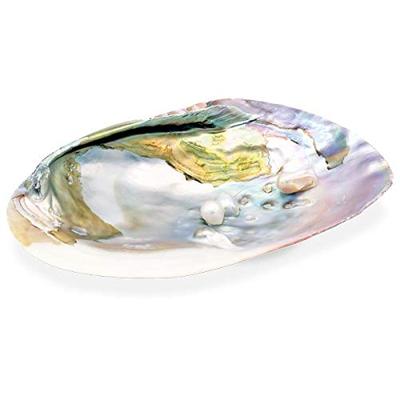 Parelmoeren Schelp met Parels Parelmoeren Schelp met Parels