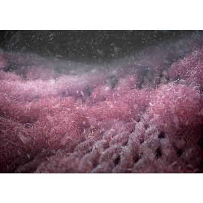 AEG A9WHMIC1 Microplastics Filter voor Wasmachine Wit AEG A9WHMIC1 Microplastics Filter voor Wasmachine Wit