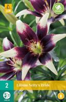 Lelie Nettys pride - thumbnail