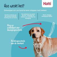 Hondentuigje Company of Animals FOREST Groen L - thumbnail