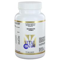 Reporphyne primer - thumbnail