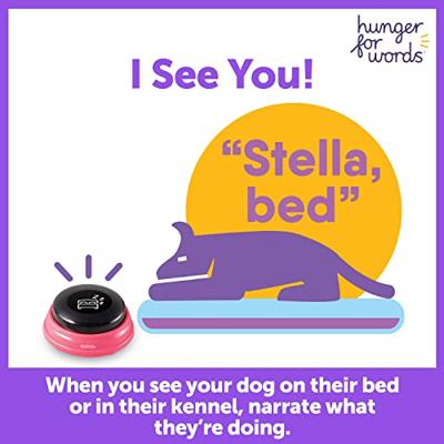 Hunger For Words talking pet next words locations hond